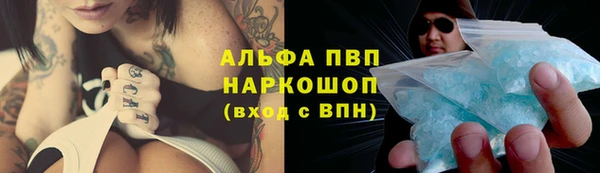 стаф Арсеньев