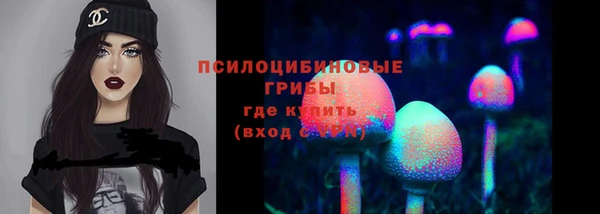 прущие крисы Аркадак