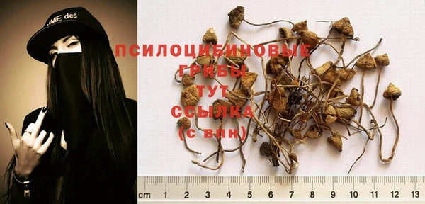 кристаллы Армянск