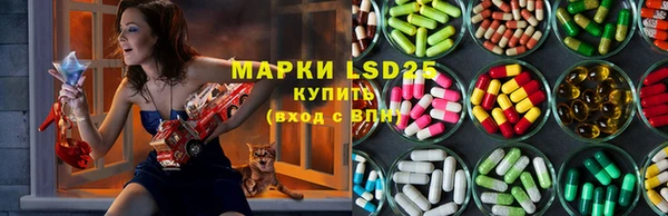 прущие крисы Аркадак