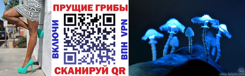 Галлюциногенные грибы Magic Shrooms  Валдай 