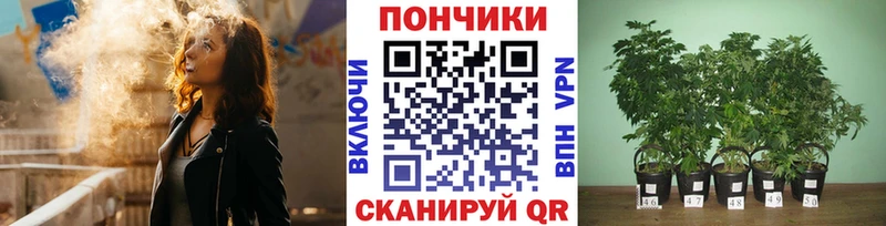 МАРИХУАНА конопля Валдай